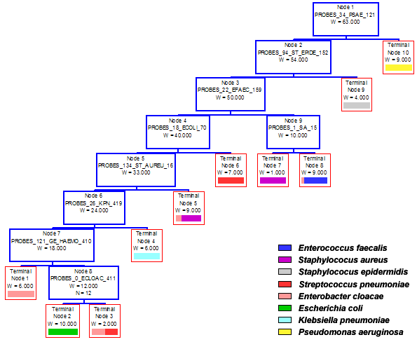 Augmentin Description Augmentin Description